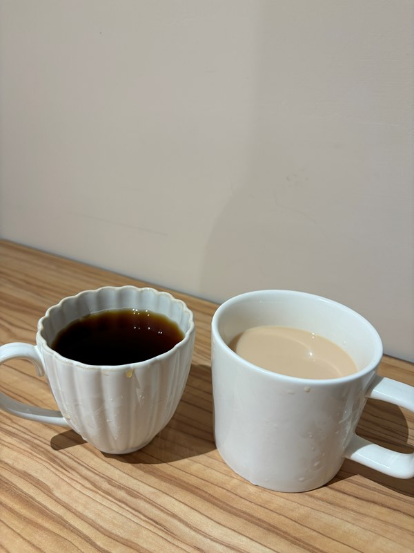 試用
